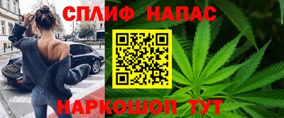 СК Кингисепп