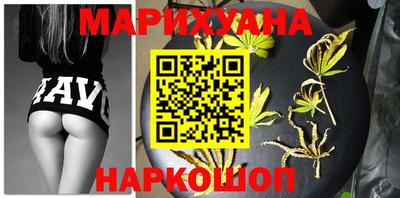 СК Кингисепп