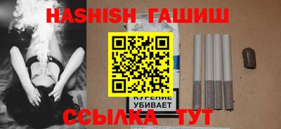СК Кингисепп
