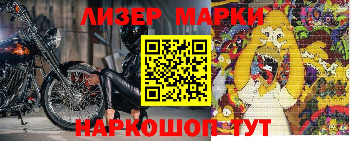Псилоцибиновые грибы Кудрово